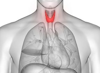 Study: Thyroid inflammation linked to anxiety disorders