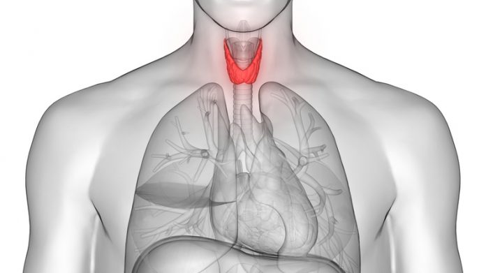 Study: Thyroid inflammation linked to anxiety disorders