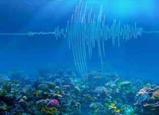 Study: Undersea earthquakes shake up climate science