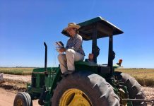 Study: Unmanned aerial vehicles help wheat breeders Study: Unmanned aerial vehicles help wheat breeders