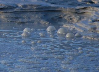 Study: When methane-eating microbes eat ammonia instead Study: When methane-eating microbes eat ammonia instead