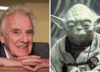 Star Wars behind the scenes: The secrets of how Yoda’s home was built | Films | Entertainment – challenge