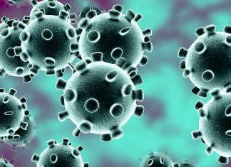 Study: New tool shows main highways of disease development Study: New tool shows main highways of disease development