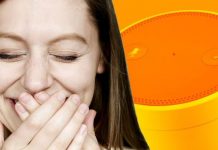 This hilarious new Amazon Echo feature is very nice, but only available for a limited time: Report