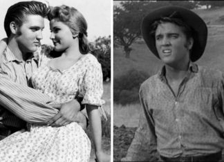 Elvis Presley movies: When was Elvis’ first film Love Me Tender released? | Films | Entertainment – challenge