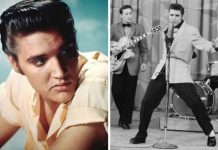 Elvis The Man That Rocked The World: What did critics think of Elvis Presley? ‘Can’t sing’ | Music | Entertainment – challenge