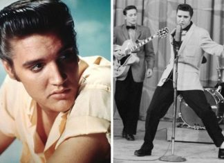 Elvis The Man That Rocked The World: What did critics think of Elvis Presley? ‘Can’t sing’ | Music | Entertainment – challenge