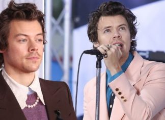 One Direction: Harry Styles doubted his own success without 1D | Music | Entertainment – challenge