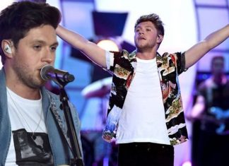One Direction: Niall Horan ‘can’t see gigs happening for very long time’ | Music | Entertainment – challenge