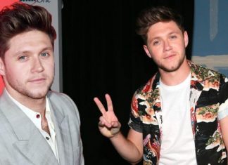One Direction: Niall Horan opens up on writing ‘toxic’ new music after Heartbreak Weather | Music | Entertainment – challenge