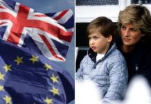 Princess Diana movie casting BANS British boys from Prince William audition blaming Brexit | Films | Entertainment – challenge