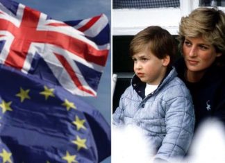 Princess Diana movie casting BANS British boys from Prince William audition blaming Brexit | Films | Entertainment – challenge