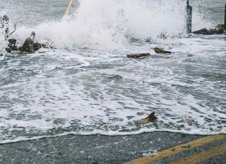 Scientists To Address Chemical Pollution Following Gulf Coast Storms Scientists To Address Chemical Pollution Following Gulf Coast Storms