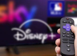 There’s a cheaper way to watch Sky TV, Disney+ and Netflix, and you’ve got Roku to thank: Report