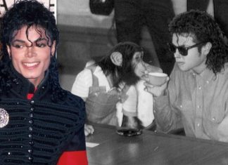 Michael Jackson’s monkey interfered with Beat It recording by ‘throwing s**t at the wall’ | Music | Entertainment – challenge