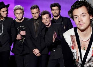 One Direction reunion: Harry Styles speaks out on ‘next step’ of band’s ‘evolution’ | Music | Entertainment – challenge