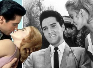 Elvis Presley affair: King confessed his love to Ann-Margret after he got married | Music | Entertainment – challenge