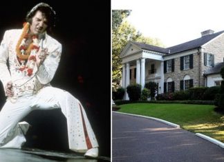 Elvis Presley’s Graceland Virtual Tour review: Live-streamed experience worth every penny | Music | Entertainment – challenge
