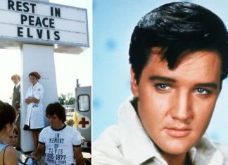 Elvis death: His final 24 hours in Graceland – Surrounded by people yet he died ALONE | Music | Entertainment – challenge