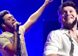 One Direction: Niall Horan announces he is writing ‘lots’ of music – ‘could’ be new album | Music | Entertainment – challenge