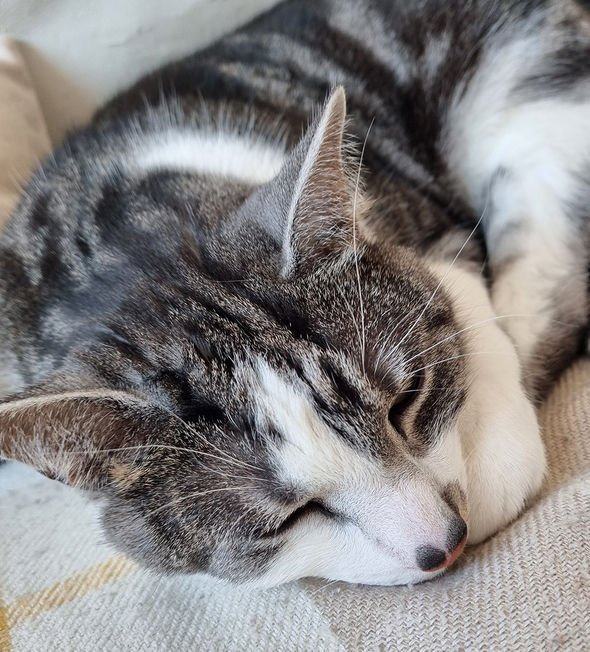 Samsung Galaxy S21 review