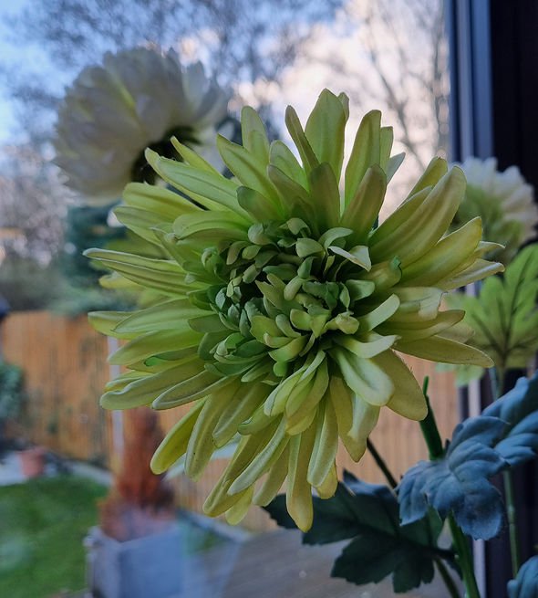 Samsung Galaxy S21 review