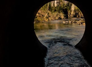 Study project to analyze human viruses in Winnipeg’s rivers Study project to analyze human viruses in Winnipeg’s rivers