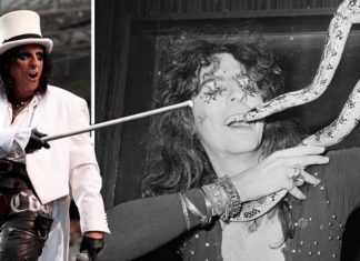 Alice Cooper age: How old is Alice Cooper – how long has he been performing? | Music | Entertainment – challenge