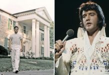 Elvis Presley: The last two songs he sang the day he died at Graceland witnessed by cousin | Music | Entertainment – challenge