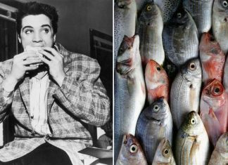 Elvis Presley banned fish from Graceland and ate the same meal every day for six months | Music | Entertainment – challenge