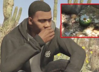 GTA Peyote locations: How to find all Peyote Plants in GTA 5 Online | Gaming | Entertainment – challenge