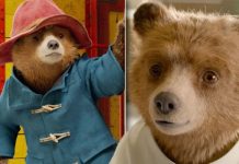 Paddington 3 confirmed: When is Paddington 3’s release date? Cast and plot explained | Films | Entertainment – challenge