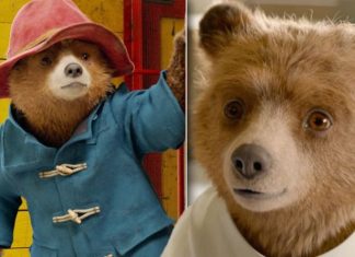 Paddington 3 confirmed: When is Paddington 3’s release date? Cast and plot explained | Films | Entertainment – challenge