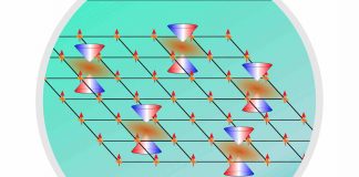 Researchers observe complex tunable magnetism in a topological material