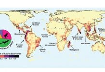 Scientists create map of undiscovered life Scientists create map of undiscovered life