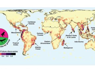 Scientists create map of undiscovered life Scientists create map of undiscovered life
