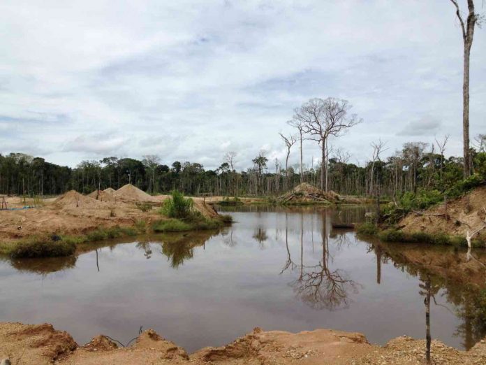 Scientists investigate mining-related deforestation in the Amazon
